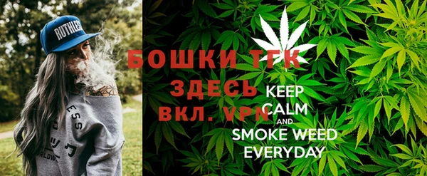 PSILOCYBIN Балахна
