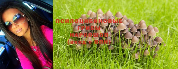 PSILOCYBIN Балахна
