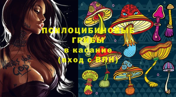 PSILOCYBIN Балахна