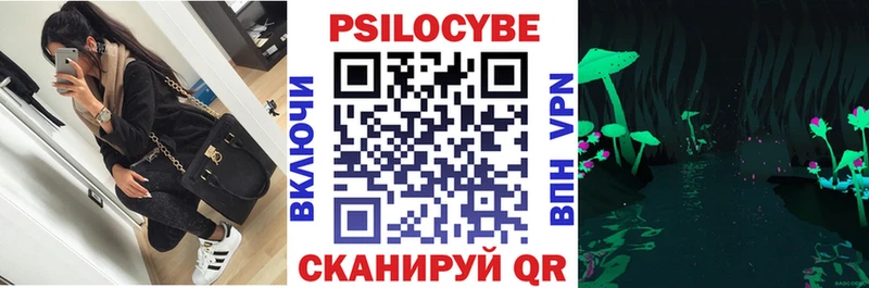 kraken зеркало  маркетплейс телеграм  Псилоцибиновые грибы Psilocybine cubensis  что такое наркотик  Ува 